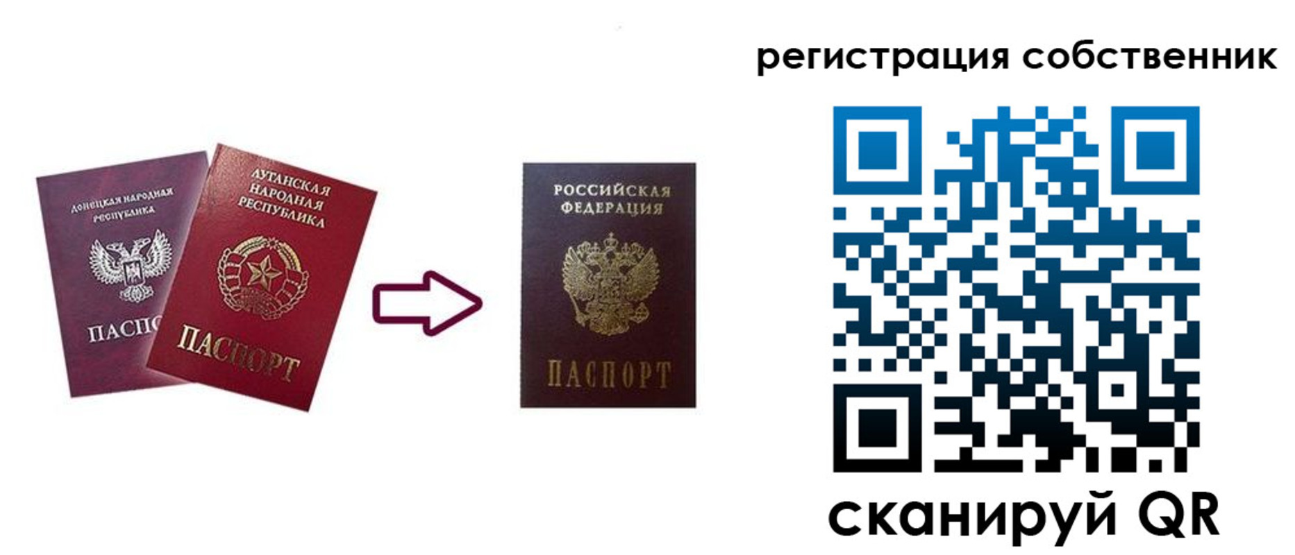 прописка для школы в Шилке